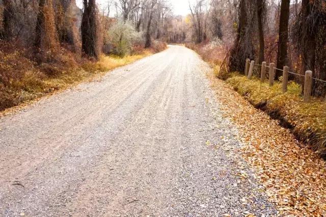 旅游景區(qū)道路與游步道設(shè)計建議